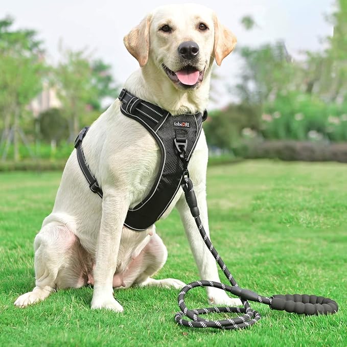 tobeDRI No Pull Dog Harness Adjustable Reflective Oxford Easy Control Medium Large Dog Harness with A Free Heavy Duty 5ft Dog Leash, Black, XL