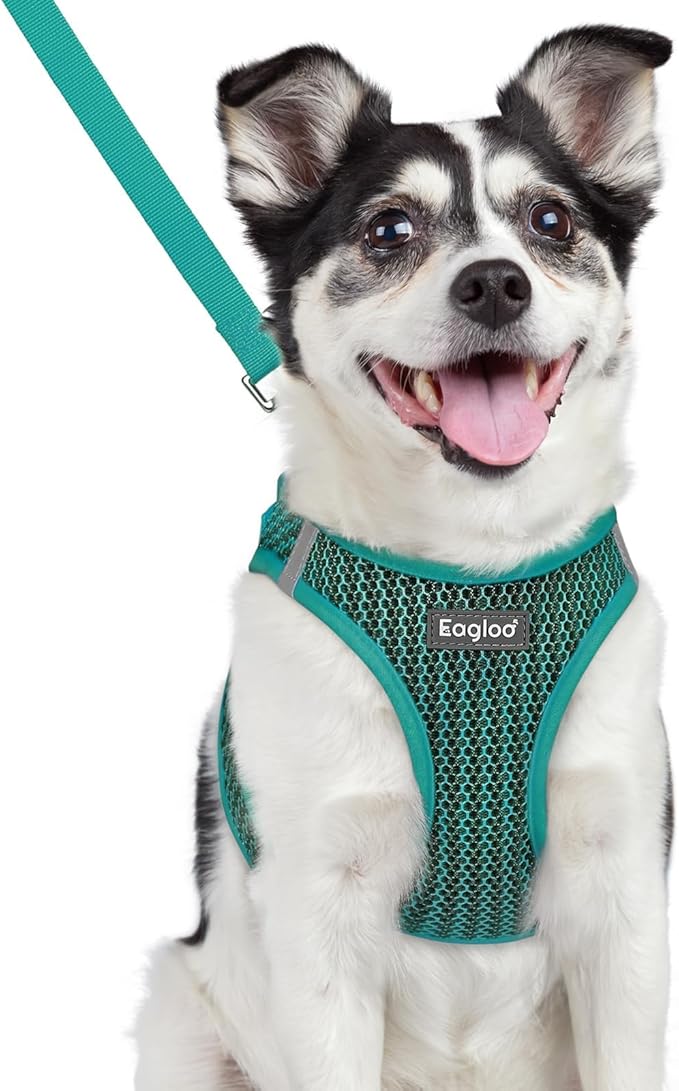 Eagloo Small Dog Harness and Leash Set, Step in Medium Small Puppy Pet Vest | Light, Soft, Breathable Air Mesh, Easy on and off with Hook & Loop, Reflective for Safe Walking, Forest Green, L