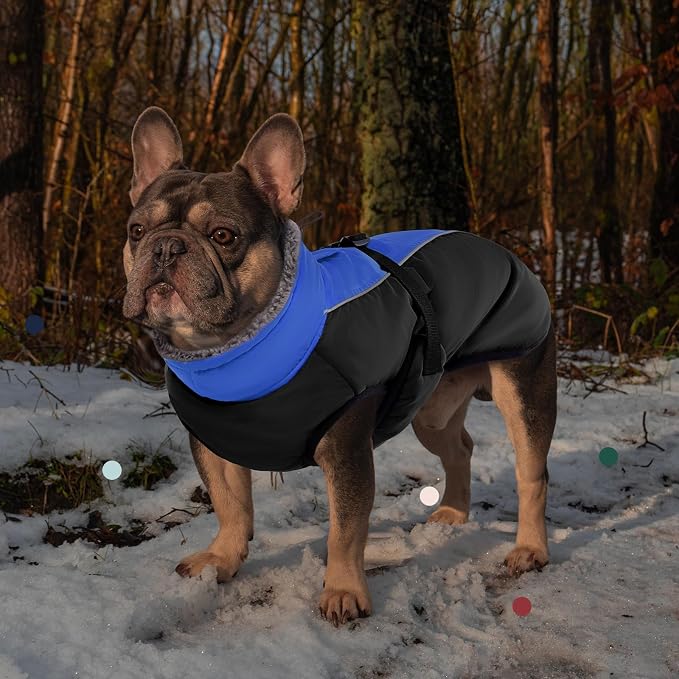 IECOii Extra Warm Reflective Adjustable Dog Jacket - Winter Coat with Buckle & Fleece Turtleneck for Small to Extra Large Dogs