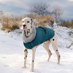 Lelepet Dog Coats for Medium Dogs Waterproof Dog Jacket with Adjustable Fit | Winter Jacket Reflective Pet Fleece Vest Windproof Cold Weather Coats with Adjustable Buckle & Leash Hole, Dark Green, M