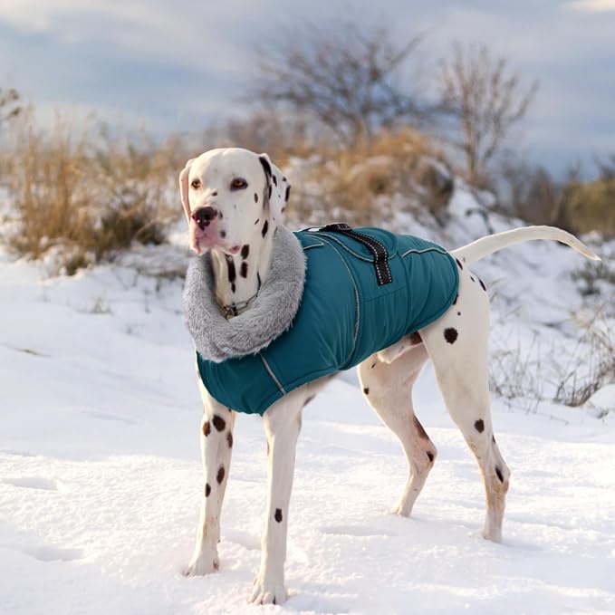 Lelepet Dog Coats for Large Dogs Waterproof Dog Jacket with Adjustable Fit | Winter Jacket Reflective Pet Fleece Vest Windproof Cold Weather Coats with Adjustable Buckle & Leash Hole, Dark Green, XL