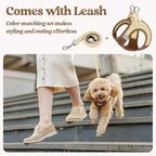 rabbitgoo Dog Harness Medium Sized and Leash Set, Step-in Puppy Pet Vest | Light, Soft, Breathable Air Mesh, Easy on and Remove with Hook & Loop, Secure Reflective for Walking, Brown & Beige L