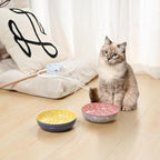 Selamica Ceramic Cat Food Bowl Set of 4, 5.6 Inch Wide Shallow Cat Bowls/Dishes for Food and Water, Assorted Colors