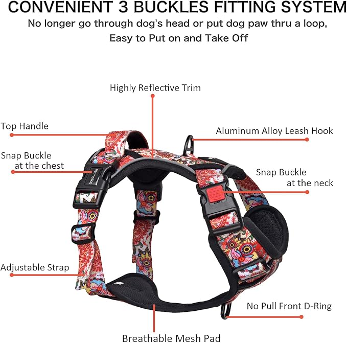 Petmolico No Pull Dog Harness Set with Leash Attachment Easy Control Handle Reflective Harness Vest Small Breed, Puppy Vest and Leash Set with Poop Bag Holder, Medium - Boho Floral