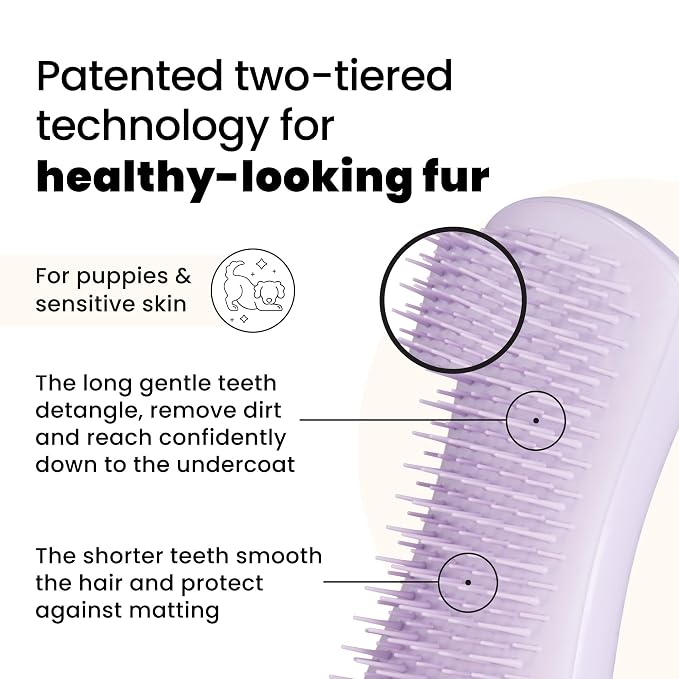 Pet Teezer Puppy Essential Dog Brush, Extra Soft Teeth, Wet or Dry, Purple | Dog grooming tool with ultra-soft two-tier teeth to gently detangle & lift dirt; for puppies, sensitive skin, wet or dry fur