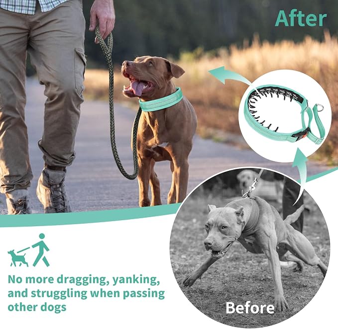 Mayerzon Martingale No Pull Collar for Medium Large Dogs | Teal, M | Patented Anti Pull Dog Collar with Buckle for Walking Training, Reflective Stitching, Neoprene Padding, Adjustable, Sturdy