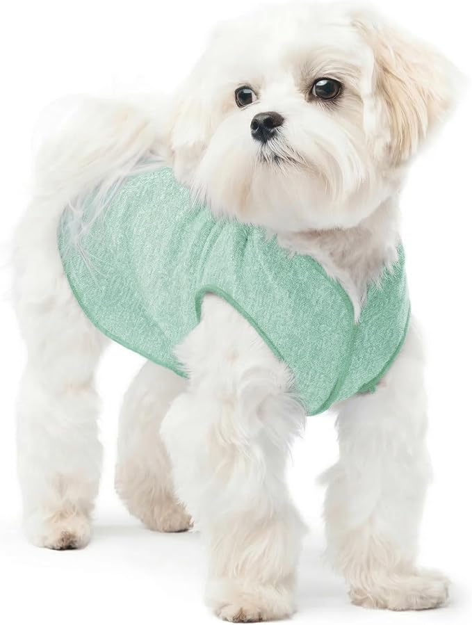 Goldpaw Dog Sun Shirt with UV Protection - Lightweight, Cooling Sun Protection Clothing for Small Dogs - Reduce Heat Absorption - Made in the USA - Machine Washable - Pistachio Green - Size 8