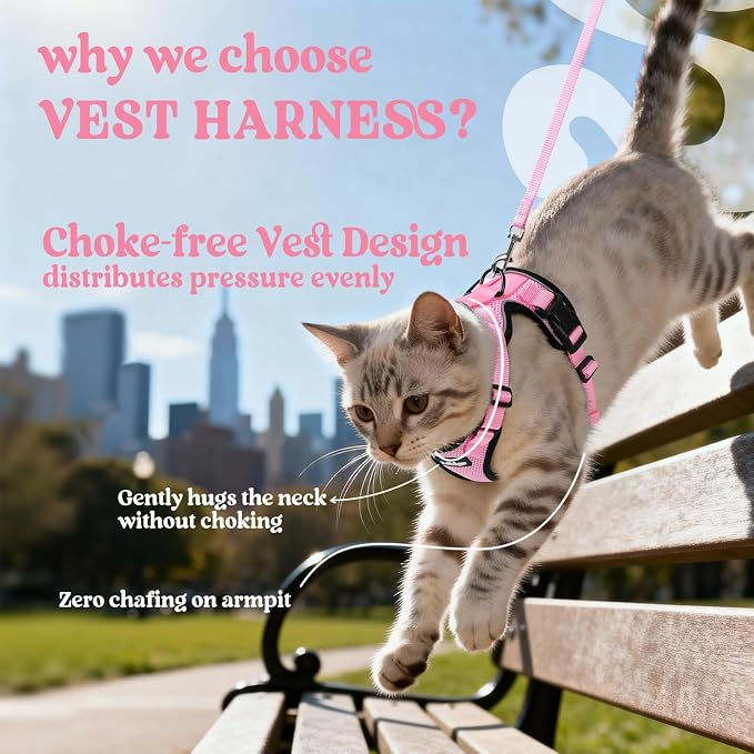 rabbitgoo Cat Harness and Leash Set, Escape Proof Vest, Pink | Soft Breathable Mesh, Easy Adjustable Fit, Snap Buckles, Sturdy Clip, Reflective Strips, for Small & Average Cats Walks, Xs
