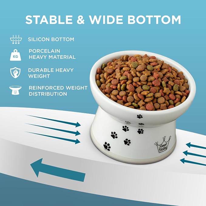 Necoichi Ceramic Raised Cat Food Bowl, Whisker-Friendly (Cats, Large Flat)