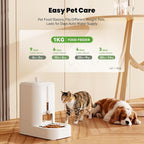 Automatic Cat Food Dispenser with Stainless Steel Bowl | Dog Water Bowl Dispenser Adjustable Water Dispensing, Auto Pet Waterer for Cats and Dogs