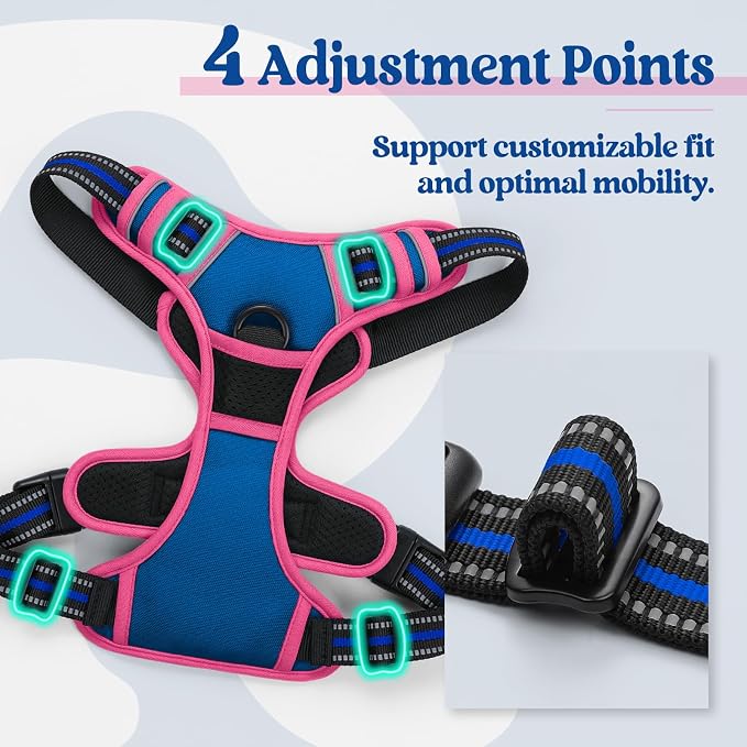 rabbitgoo Dog Harness, No Pull for Large Dogs with 2 Leash Clips, Pet Vest | No Choke with Handle, Adjustable Soft Padded, Reflective, Easy Control for Walking, Blue & Hot Pink, X-Large