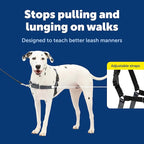 PetSafe Easy Walk Harness, No Pull Dog Harness, Medium/Large Charcoal Gray