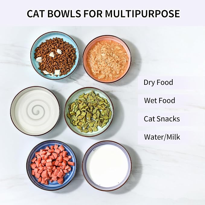 Selamica Ceramic Cat Food Bowl, 5.6 Inch Wide Shallow Cat Bowls/Dishes for Food and Water, Whisker Friendly, Set of 6, Gradient Colors