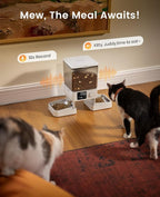 oneisall Automatic Cat Feeder for 2 Cats Pets, Timed Cat Food Dispenser | 20 Cups/5L, Prevent Fighting, Precise Portion, Balanced Dispense, Non-Slip & Stable, Voice Recorder, Stainless Steel Bowls