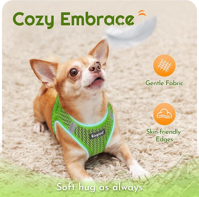 Eagloo Small Dog Harness and Leash Set, Step in Medium Small Puppy Pet Vest | Light, Soft, Breathable Air Mesh, Easy on and off with Hook & Loop, Reflective for Safe Walking, Green, L
