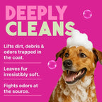 TropiClean Deodorizing Dog Shampoo for Smelly Pets, Professional Dog Shampoo, Long Lasting Odor Control, Puppy Safe, USA Made, Berry Scent, 1 Gal