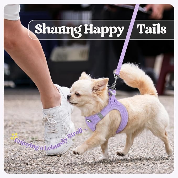 rabbitgoo Dog Harness Medium Sized and Leash Set, Step-in Puppy Pet Vest | Light, Soft, Breathable Air Mesh, Easy on and Remove with Hook & Loop, Secure Reflective for Walking, Light Purple L