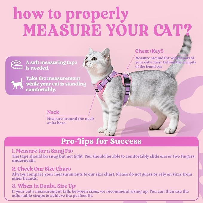 rabbitgoo Cat Harness and Leash Set, Escape Proof Vest, Pink & Light Purple | Soft Breathable Mesh, Easy Adjustable Fit, Snap Buckles, Sturdy Clip, Reflective Strips, for Kittens & Small Cats Walks, Xxs
