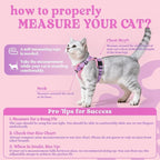rabbitgoo Cat Harness and Leash Set, Escape Proof Vest, Pink & Light Purple | Soft Breathable Mesh, Easy Adjustable Fit, Snap Buckles, Sturdy Clip, Reflective Strips, for Small & Average Cats Walks, Xs