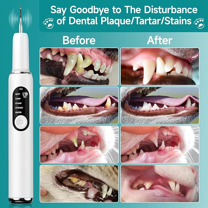 Dog Teeth Cleaning Kit Dog Plaque and Tartar Remover with LED Light 5 Adjustable Modes Electric Toothbrush Pet Teeth Cleaner for Dogs and Cats (Off-White)
