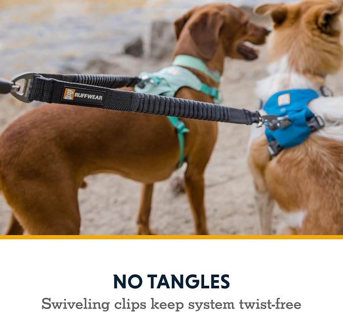 Ruffwear, Double Track Coupler, Double Leash for Two Dogs, Premium Heavy Duty Dual Splitter with 360° Lockable Swivel No Tangle, Shock-Absorbing Stretch Webbing for Walking & Hiking, Basalt Gray