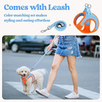 rabbitgoo Dog Harness Medium Sized and Leash Set, Step-in Puppy Pet Vest | Light, Soft, Breathable Air Mesh, Easy on and Remove with Hook & Loop, Secure Reflective for Walking, Blue & Orange L