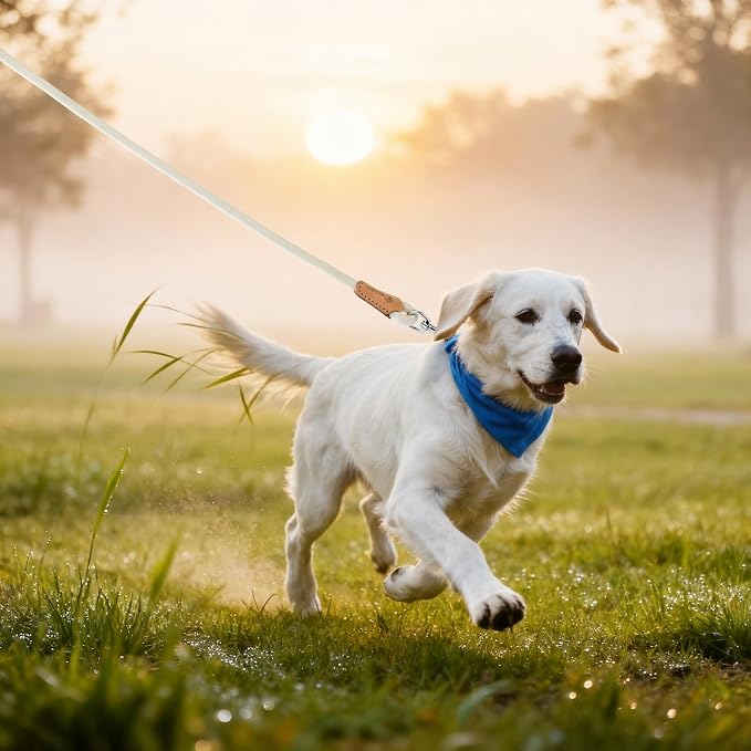 Mile High Life White Dog Leash with Genuine Leather Connection, 4/5/6 FT | Rope Leash, Heavy Duty 360° Swivel Metal Clasp, for Small Medium & Large Dogs (Cream White, 48 Inch)