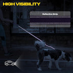 Fida 5 FT Heavy Duty Dog Leash with 2 Comfortable Padded Handles, Traffic Handle & Advanced Easy Snap Hook, Reflective Walking Lead for Large, Medium & Small Breed Dogs, Purple