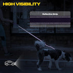 Fida 6 FT Heavy Duty Dog Leash with 2 Comfortable Padded Handles, Traffic Handle & Advanced Easy Snap Hook, Reflective Walking Lead for Large, Medium & Small Breed Dogs, Purple