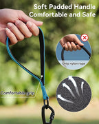 Joytale Long Dog Leash for Yard Tie Out & Recall Training, Blue, 15FT | Secure Locking Carabiner, Removable Padded Handle, Reflective Webbing for Night Safety, Ideal for Outdoor Play and Camping