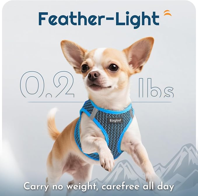 Eagloo Small Dog Harness and Leash Set, Step in Small Sized Puppy Pet Vest | Light, Soft, Breathable Air Mesh, Easy on and off with Hook & Loop, Reflective for Safe Walking, Blue, XS