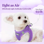 rabbitgoo Dog Harness Small Sized and Leash Set, Step-in Puppy Pet Vest | Light, Soft, Breathable Air Mesh, Easy on and Remove with Hook & Loop, Secure Reflective for Walking, Purple M