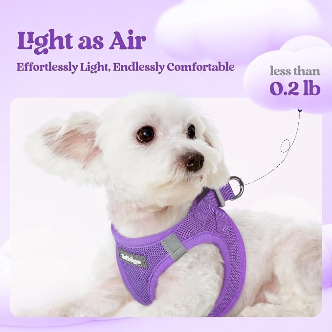 rabbitgoo Dog Harness Small Sized and Leash Set, Step-in Puppy Pet Vest | Light, Soft, Breathable Air Mesh, Easy on and Remove with Hook & Loop, Secure Reflective for Walking, Purple XS
