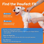 Eagloo Small Dog Harness and Leash Set, Step in Small Sized Puppy Pet Vest | Light, Soft, Breathable Air Mesh, Easy on and off with Hook & Loop, Reflective for Safe Walking, Orange, XS