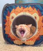 Kitty City Safari Jungle Cat Play Set, Collapsible Pop-Up Cat Toys Combo with Cube, Tunnel & Hideout, Interactive Indoor Kitty Playhouse for Exercise, Hiding & Lounging