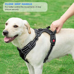 tobeDRI No Pull Dog Harness Adjustable Reflective Oxford Easy Control Medium Large Dog Harness with A Free Heavy Duty 5ft Dog Leash, Orange, XL