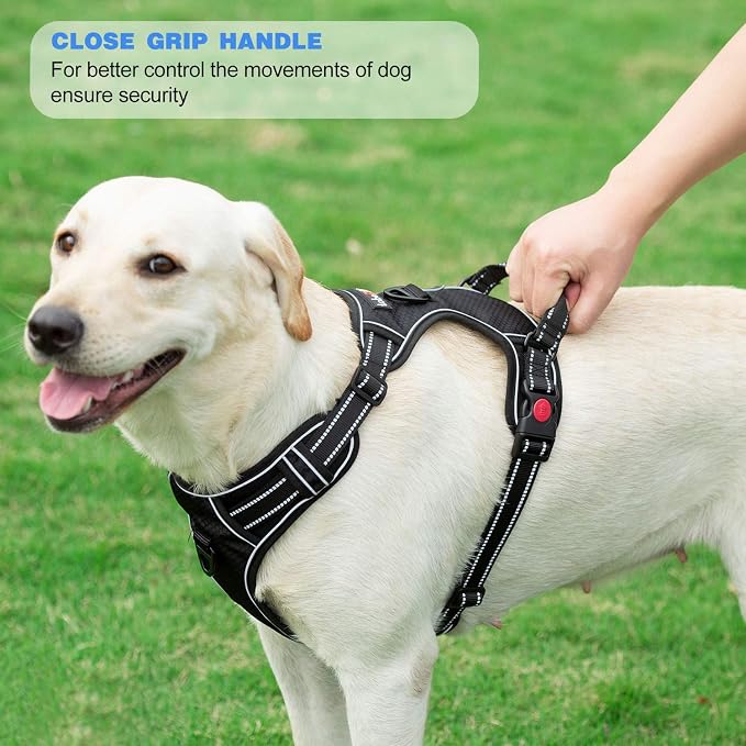 tobeDRI No Pull Dog Harness Adjustable Reflective Oxford Easy Control Medium Large Dog Harness with A Free Heavy Duty 5ft Dog Leash, Black/Red, M