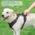 tobeDRI No Pull Dog Harness Adjustable Reflective Oxford Easy Control Medium Large Dog Harness with A Free Heavy Duty 5ft Dog Leash, Purple, XL