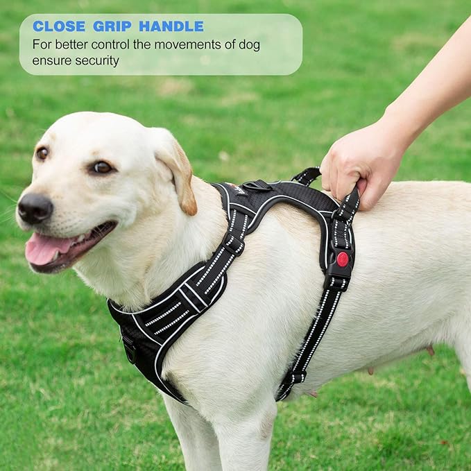 tobeDRI No Pull Dog Harness Adjustable Reflective Oxford Easy Control Medium Large Dog Harness with A Free Heavy Duty 5ft Dog Leash, Purple, XL