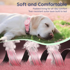 Airtag Dog Collar, Reflective Ultra-Durable Nylon Padded with QR Code Buckle & IP68 Waterproof Air Tag Holder Compatible for Apple AirTag, Comfortable for Small Medium Large Dogs (Pink, XS)
