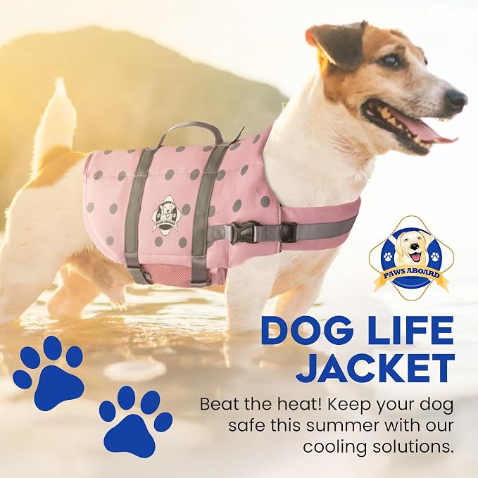 Dog Life Jacket — Premium Swim Vest with SafeChin Anti-Choke Collar | PAWS Aboard Pink | RapidLift Rescue Handle, D-Ring, Reflective Trim | Boating, Kayaking, Pool | XX-Small (Under 6 lbs)