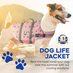 Dog Life Jacket — Premium Swim Vest with SafeChin Anti-Choke Collar | PAWS Aboard Pink | RapidLift Rescue Handle, D-Ring, Reflective Trim | Boating, Kayaking, Pool | XX-Small (Under 6 lbs)
