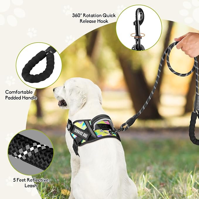 Service Dog Harness and Leash Set, XS, Multi-Colored, with 10 Patches, Reflective, for Small to XL Dogs