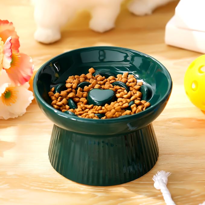 Tioncy 1 Pcs Ceramic Elevated Slow Feeder Cat Bowl, Raised Cat Slow Feeder Bowl, Anti Vomiting for Dry and Wet Food, No Spill High Edge Easy Clean Dishwasher Safe (Dark Green)