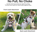 Petmolico No Pull Dog Harness Set with Leash Attachment Easy Control Handle Reflective Harness Vest Small Breed, Puppy Vest and Leash Set with Poop Bag Holder, Small - Green Flowers