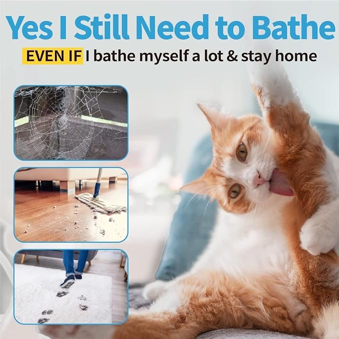 Mooncat Waterless Cat Shampoo + 2-in-1 Cat Bath Brush Set, No Rinse Dry Foam Bath for Short Hair Cats & Kittens, SGS-Tested Lick-Safe, Veterinarian Approved & pH-Balanced, Brush, 5 oz | Waterless shampoo spray, Deodorizes & removes dander, Dual-sided s...