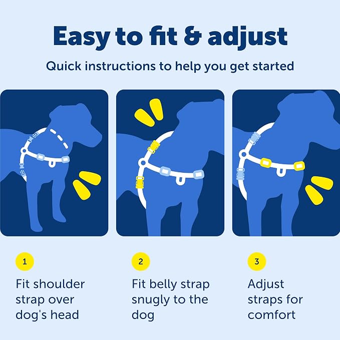 PetSafe Easy Walk No-Pull Dog Harness - Ultimate Harness to Help Stop Pulling - Pull-Free Walks - Take Control & Teach Better Leash Manners - Patented Martingale Loop Design - Black, Petite
