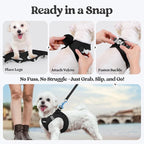 rabbitgoo Dog Harness Medium Sized and Leash Set, Step-in Puppy Pet Vest | Light, Soft, Breathable Air Mesh, Easy on and Remove with Hook & Loop, Secure Reflective for Walking, Black XL