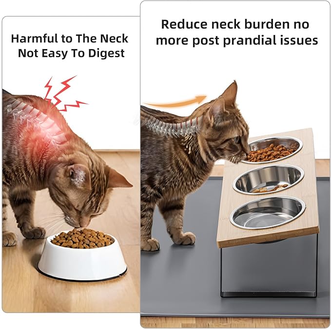 Upgraded Elevated Cat Bowls with Food Mat,15°Tilted Stand Anti Vomiting Raised Cat Dishes for Food and Water,3 Stainless Steel Bowls for Cats and Puppy