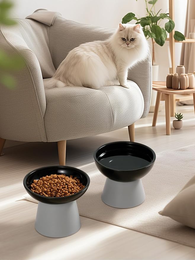 LoeJan Elevated Cat Food and Water Bowls Set, Extra Wide and Raised Ceramic Feeder, Anti-Vomit Whisker-Free Pressure Feeding Bowl for Kittens Adult Small Dogs (Black)